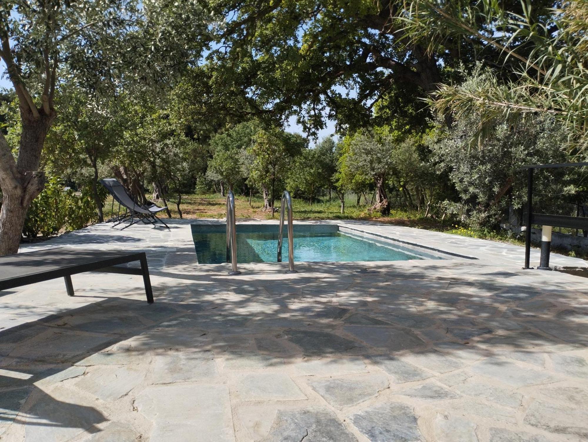 Elia Suites Ialysos  Dış mekan fotoğraf